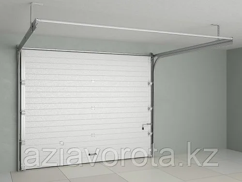 Гаражные секционные ворота с пружинами растяжения Doorhan RSD01BIW