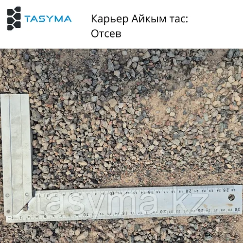 Отсев Айкым Тас