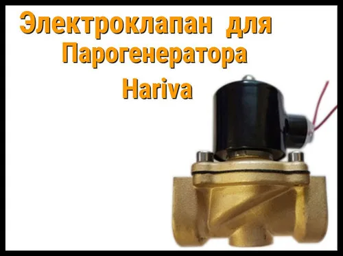 Электромагнитный клапан для Парогенератора Hariva