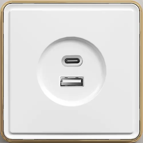 Розетка USB (Тип A+C), с/у, Белый, серия SAKURA, (TEKLED Electric)100/10