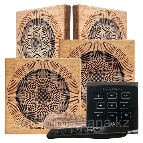 Комплект акустической системы SW 4 Black ECO sq Sauna
