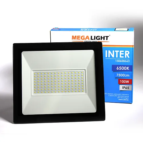 LED Прожектор INTER 100W 6500K IP65 MEGALIGHT(10)
