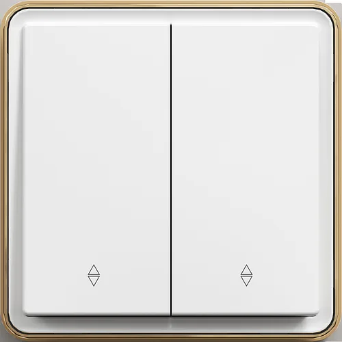 Переключатель 2-кл, с/у, Белый, серия SAKURA, (TEKLED Electric)100/10